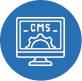 CMS Website Development