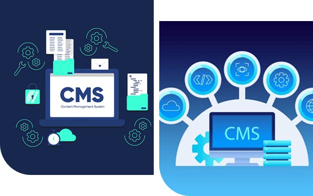 CMS Work Design