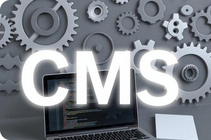 Cutom CMS Development