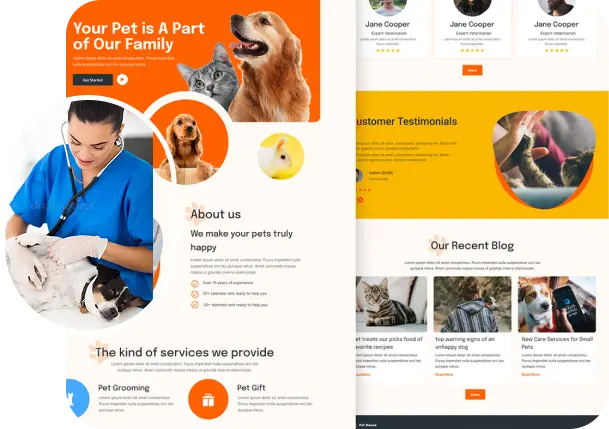 Veterinary web site landing pages