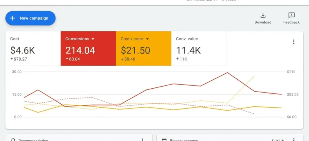 google-ads-case-study