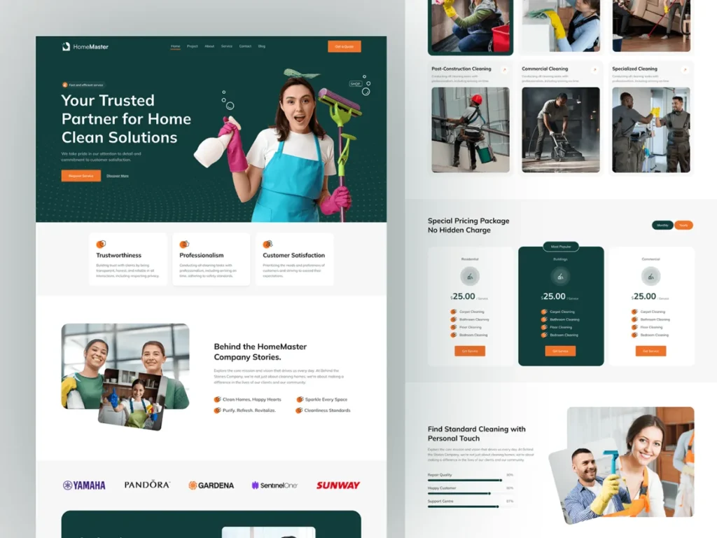 Cleaning Website