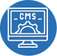 Custom & Headless CMS